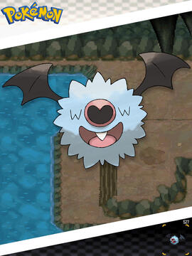 Woobat