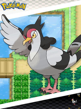 Tranquill