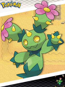 Maractus