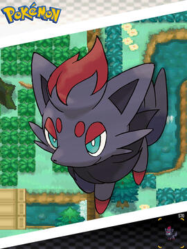Zorua