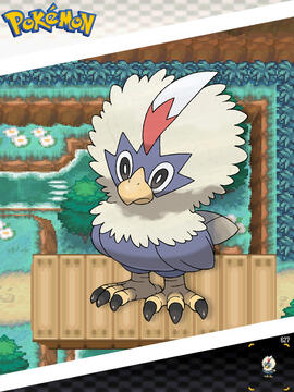Rufflet